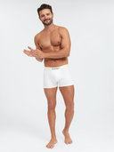 Jockey Men Iconic - Cotton Trunks Cotton Modal M02A
